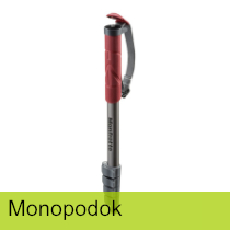 Monopodok